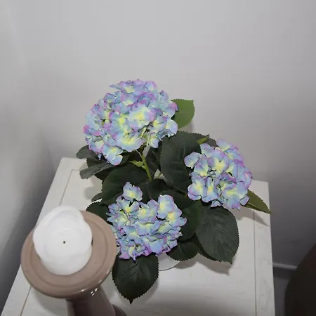 Strandstrasse 26 Διαμέρισμα Sylt