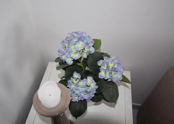 Strandstrasse 26 公寓 Sylt